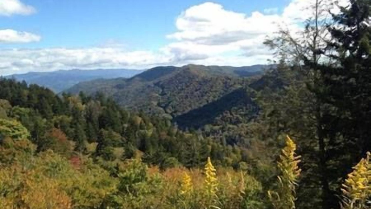 Photo of Others in Pigeon Forge
