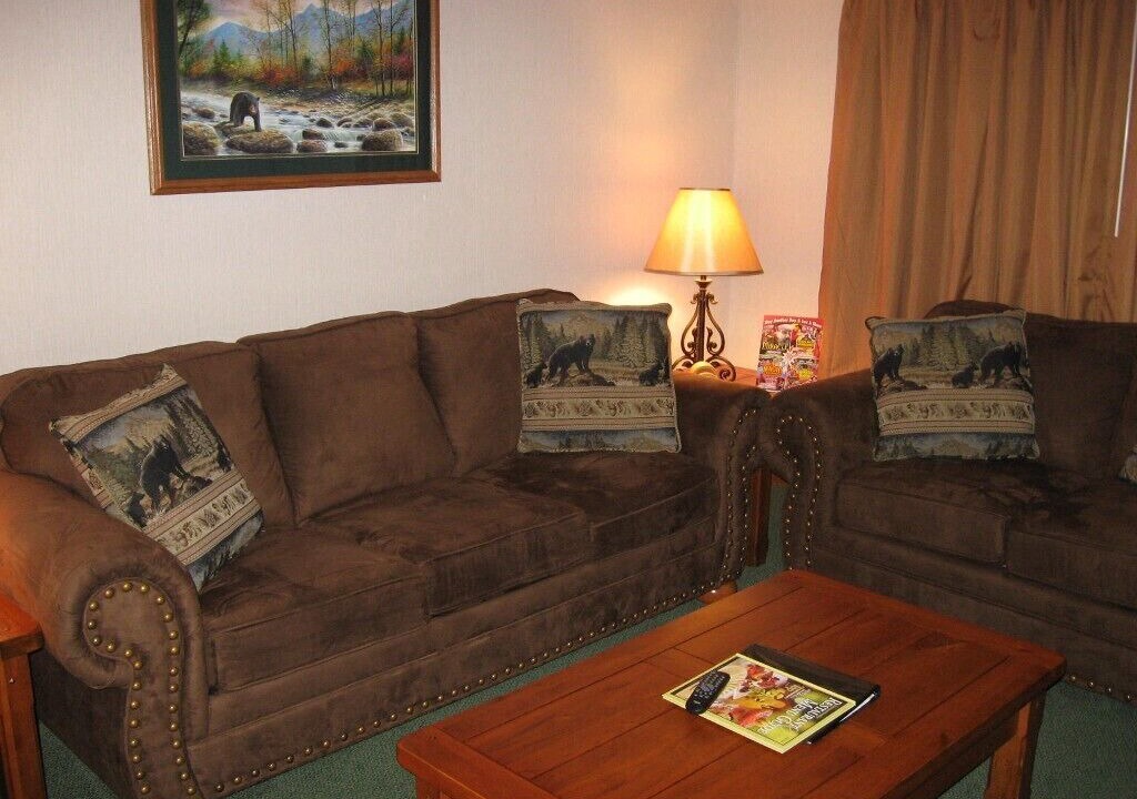 Photo of Livingroom in Pigeon Forge