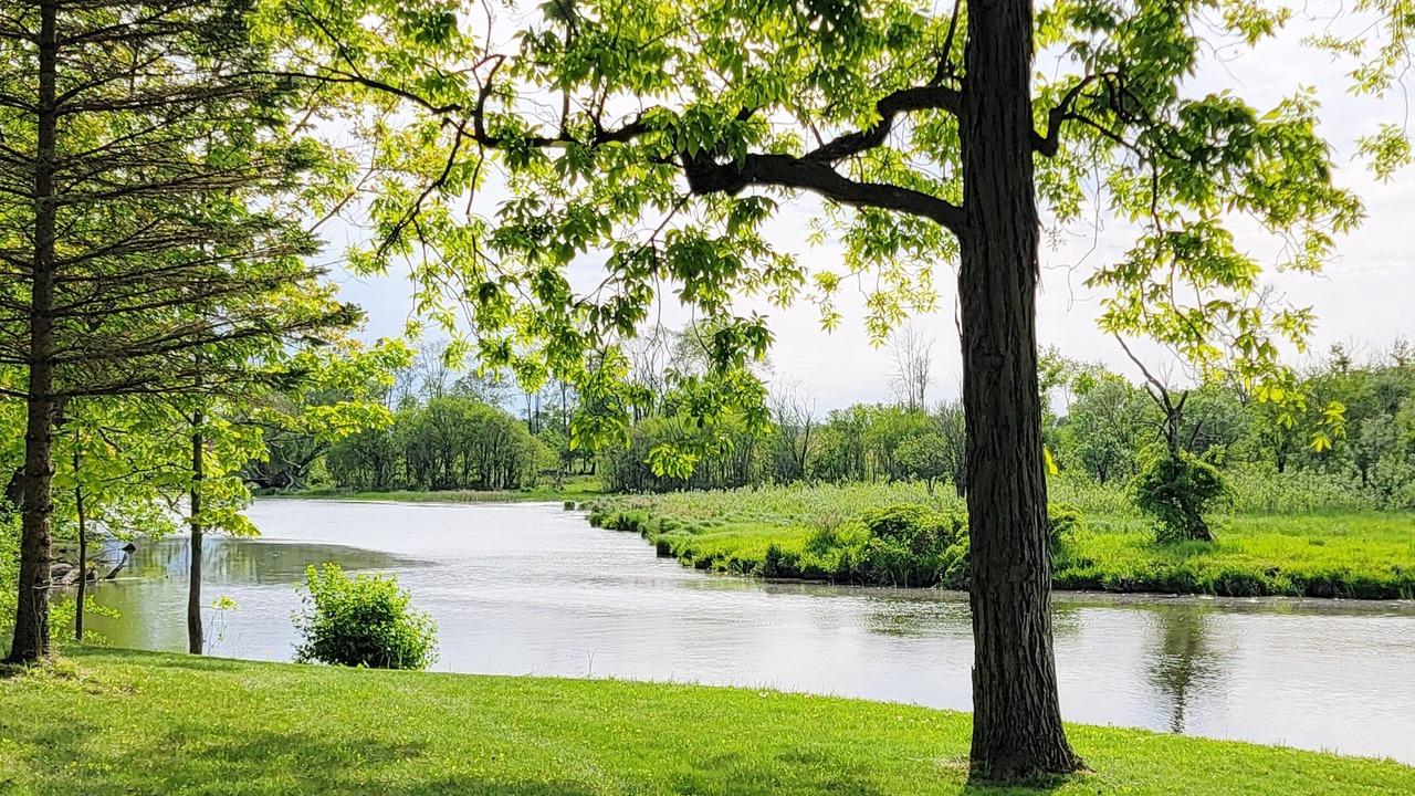 Photo of Outdoor in Burlington