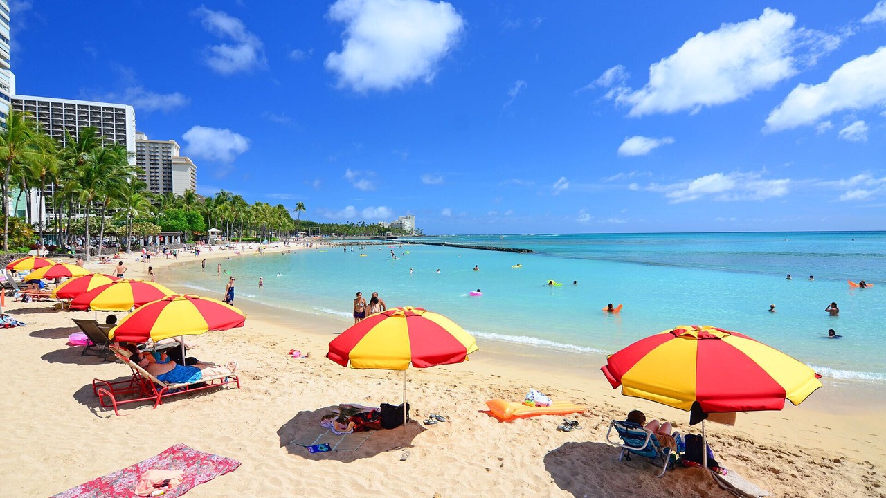 Photo of Others in Waikiki