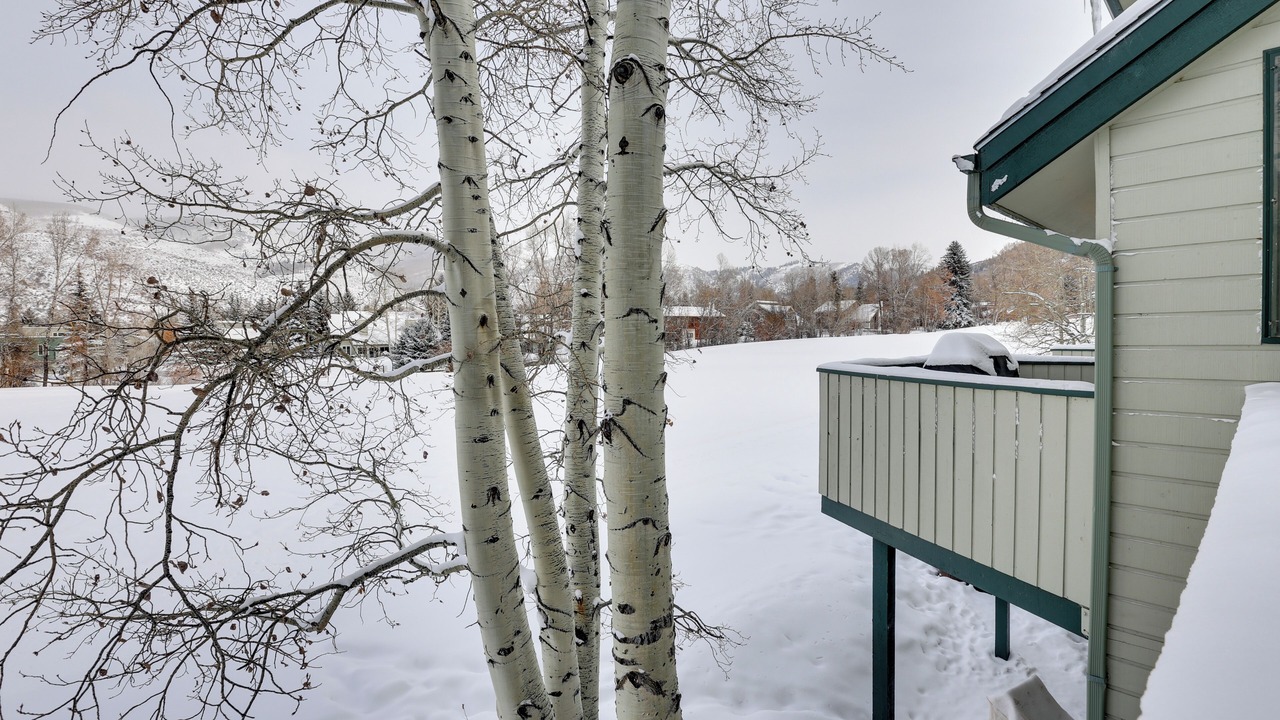 Photo of Patio Balcony in Eagle-Vail