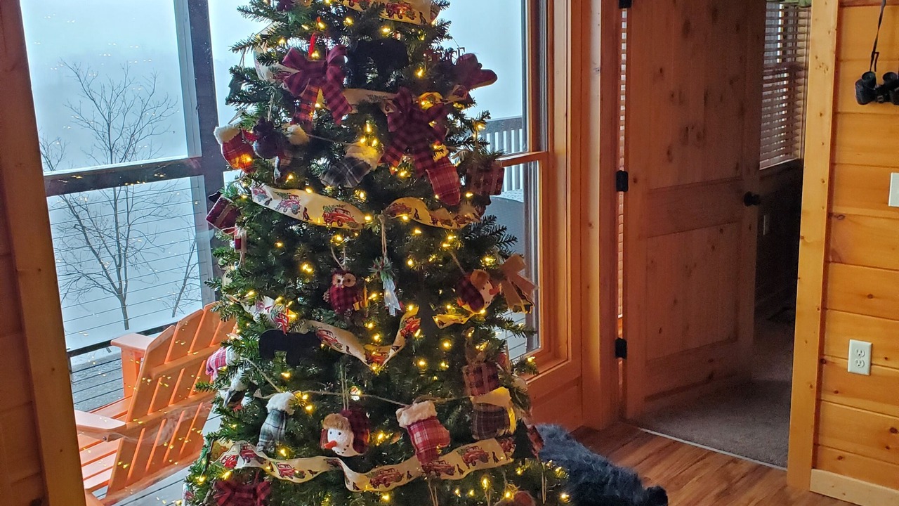 Photo of Bedroom in Sevierville