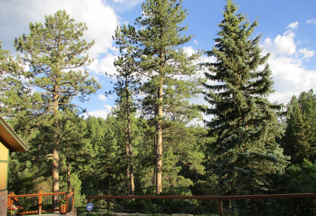 Photo of Outdoor in Morrison