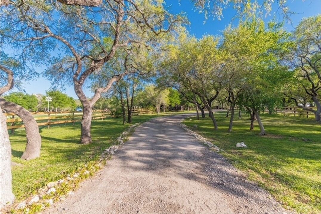 Photo of Others in Paleface Park