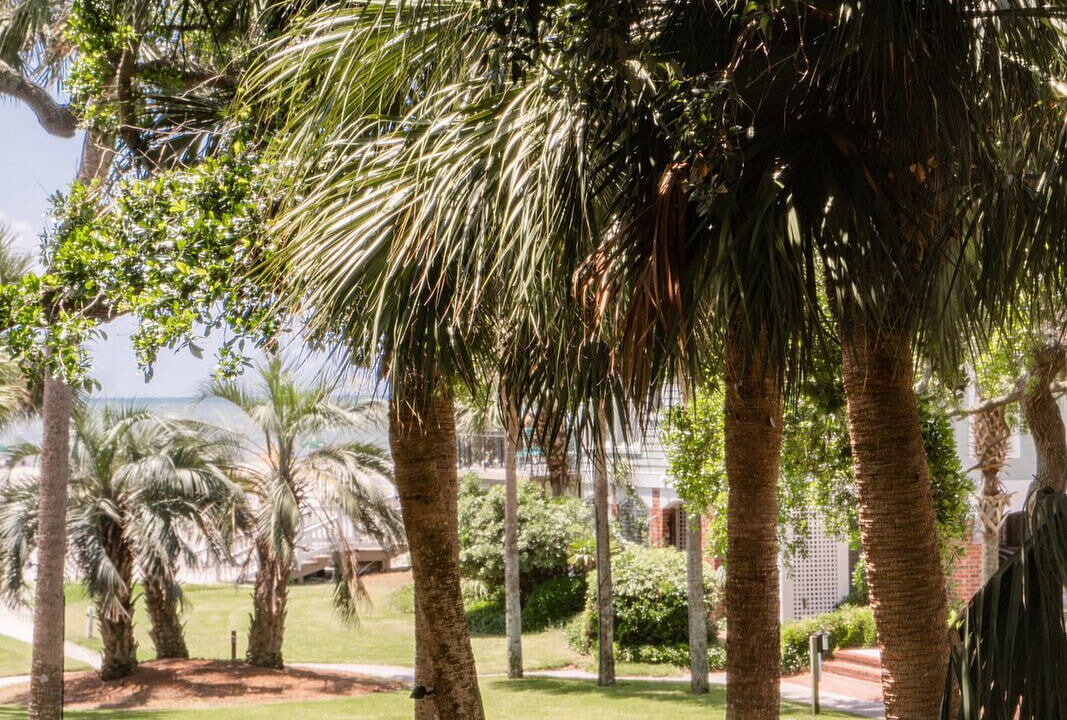 Photo of Outdoor in Isle of Palms