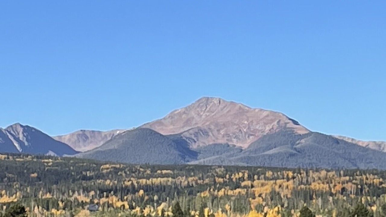 Photo of Others in Fraser