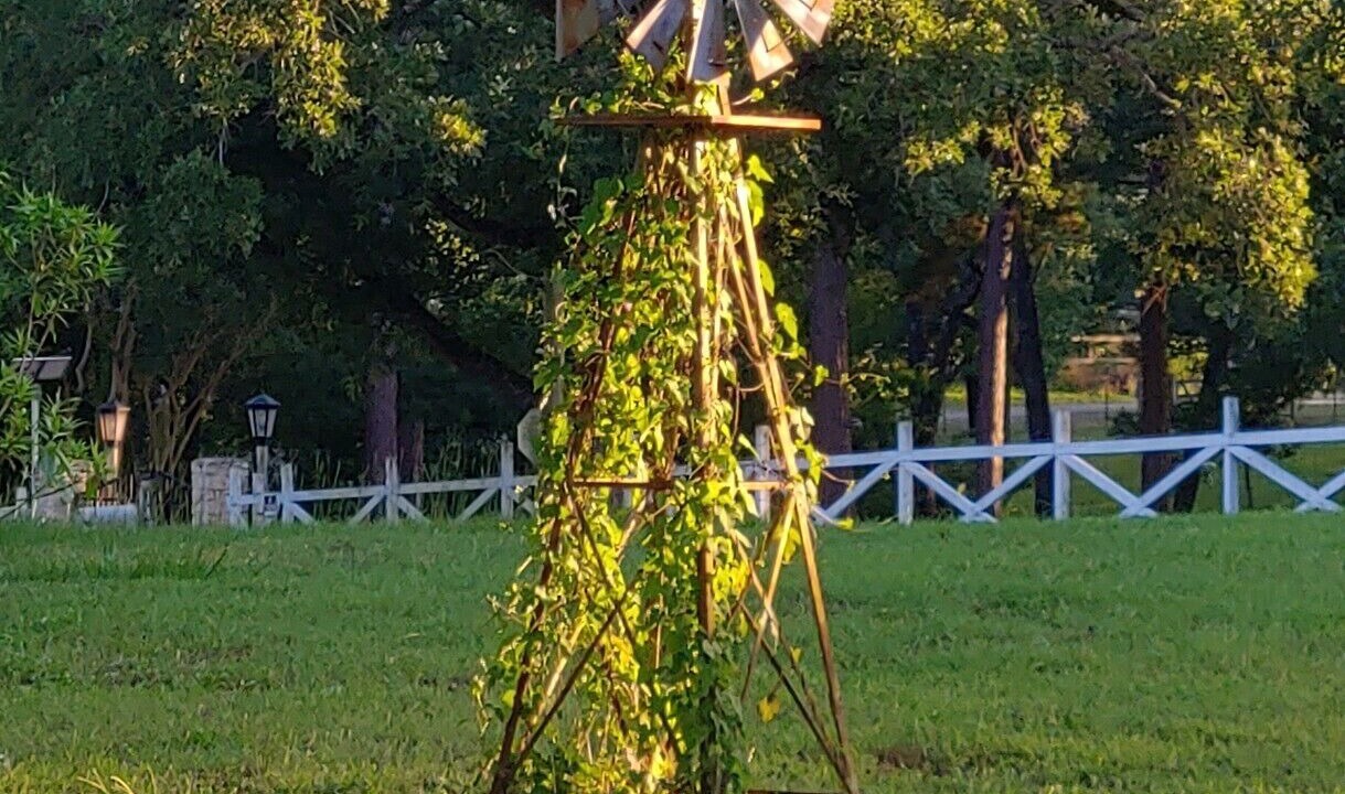 Photo of Outdoor in Camp Swift