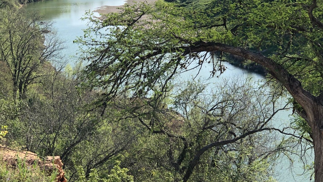 Photo of Outdoor in Dripping Springs