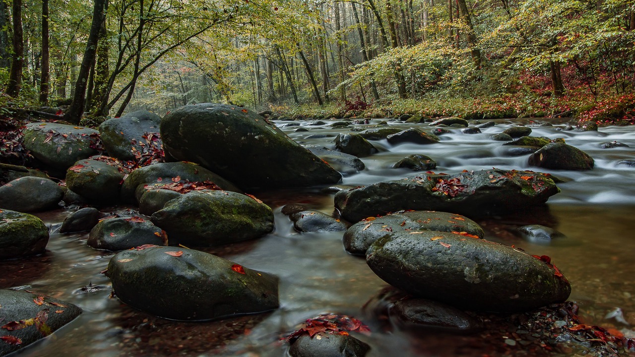 Photo of Outdoor in Hemlock Hills