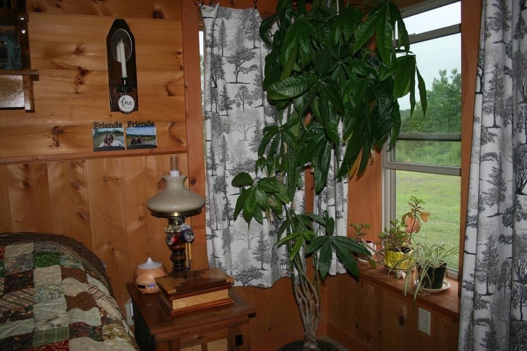 Photo of Bedroom in Mount Vision