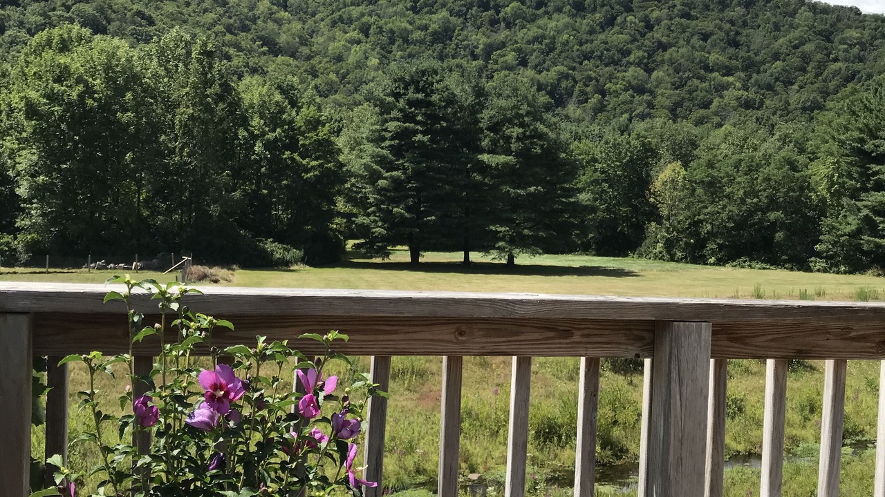 Photo of Outdoor in Allaben