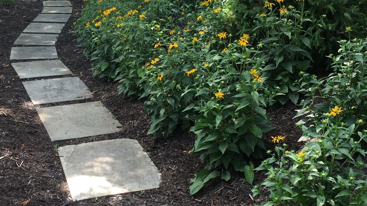 Photo of Outdoor in Skaneateles