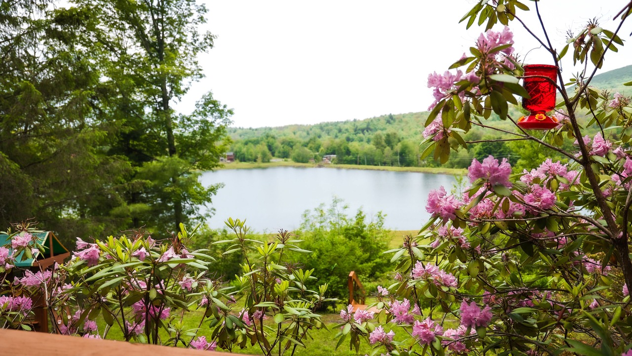 Photo of Outdoor in Hunter