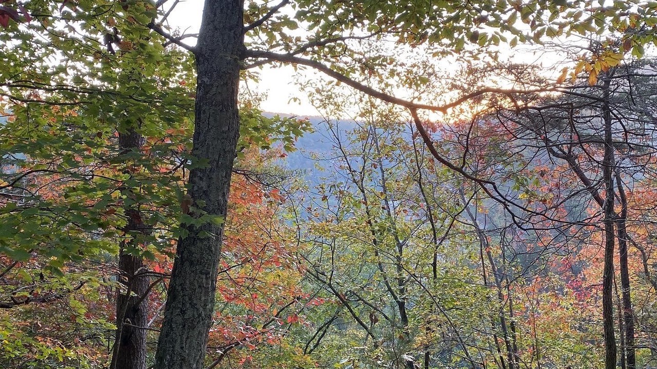 Photo of Outdoor in Spencer