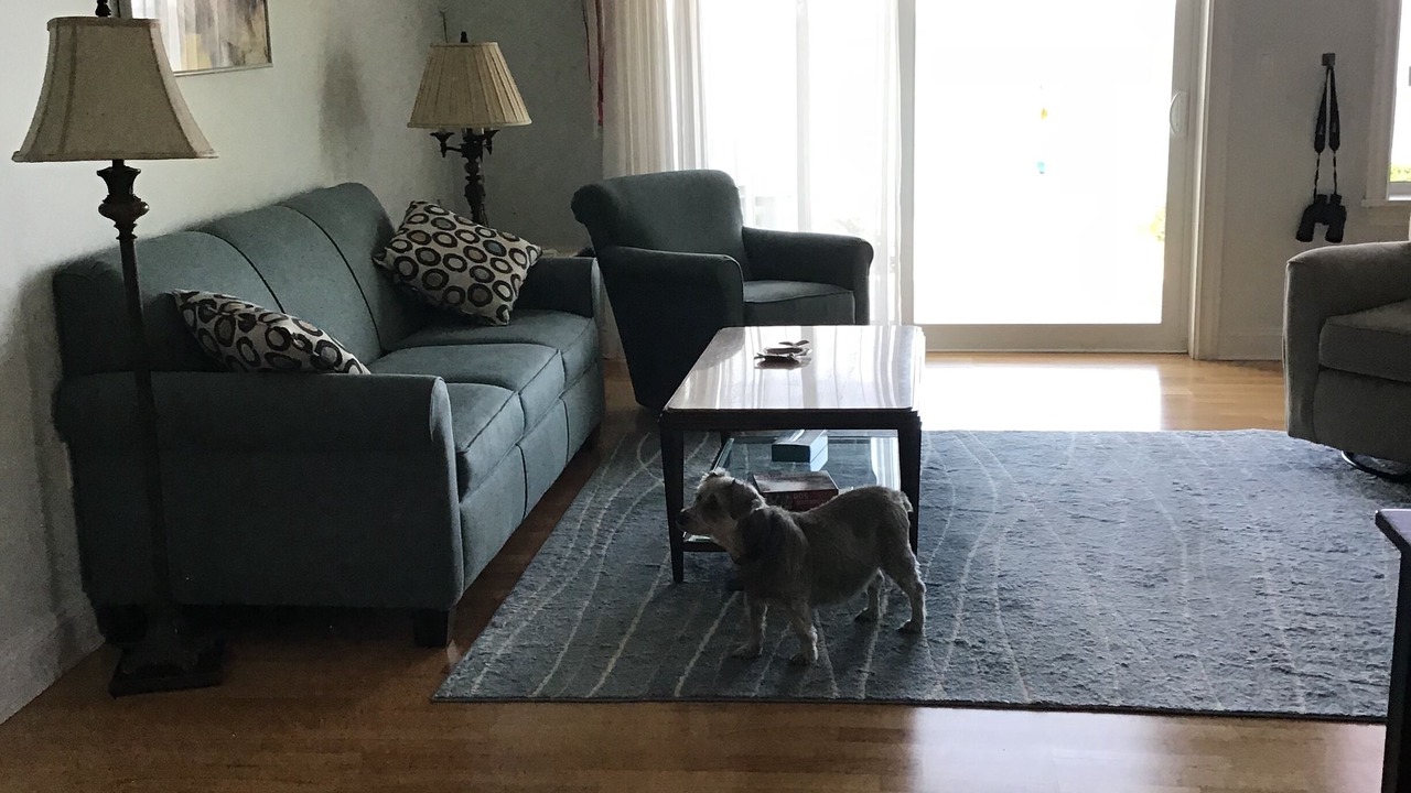 Photo of Livingroom in Geneva-on-the-Lake
