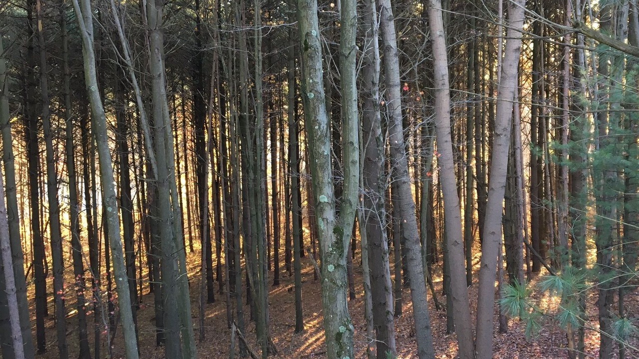 Photo of Outdoor in New Rumley