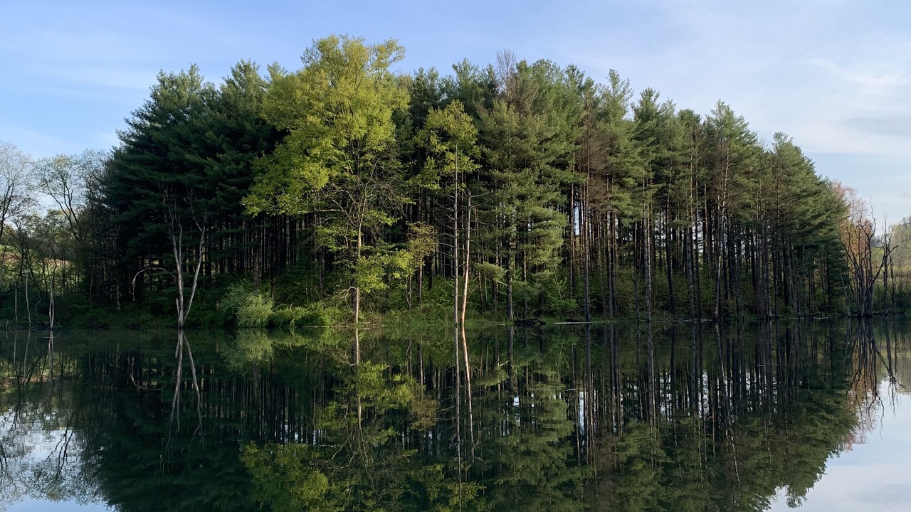 Photo of Outdoor in New Rumley