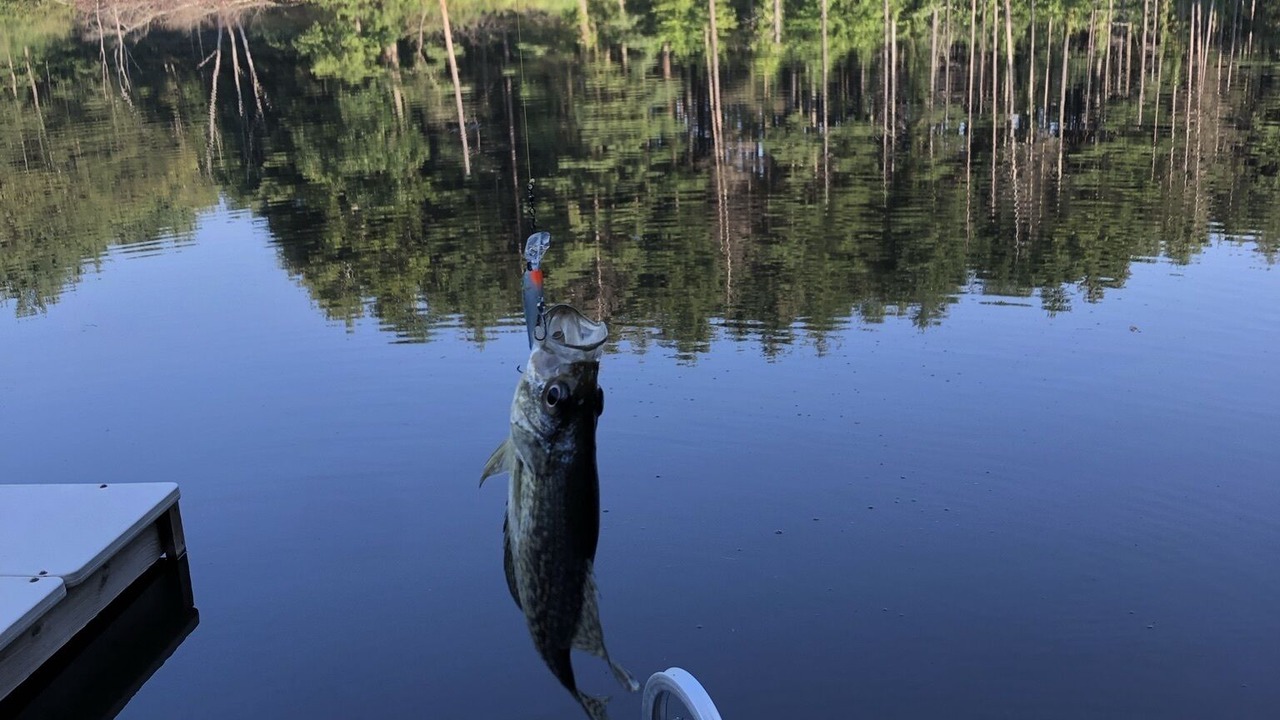 Photo of Outdoor in New Rumley