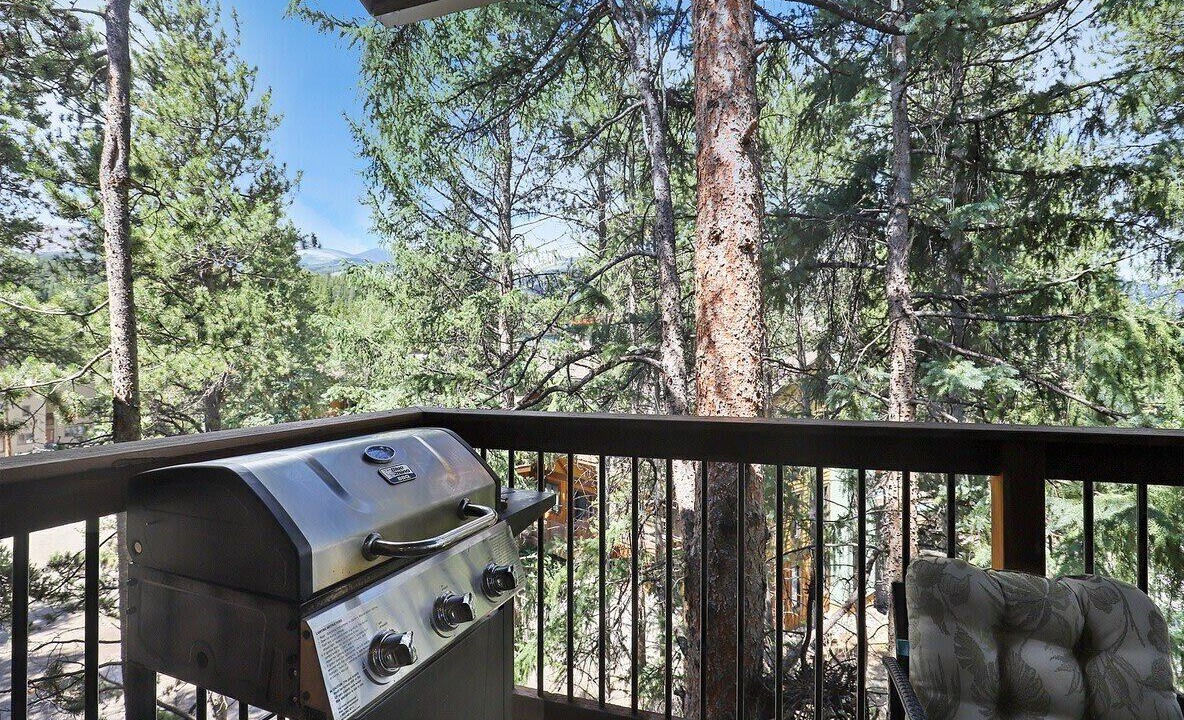 Photo of Patio Balcony in Warrior's Mark