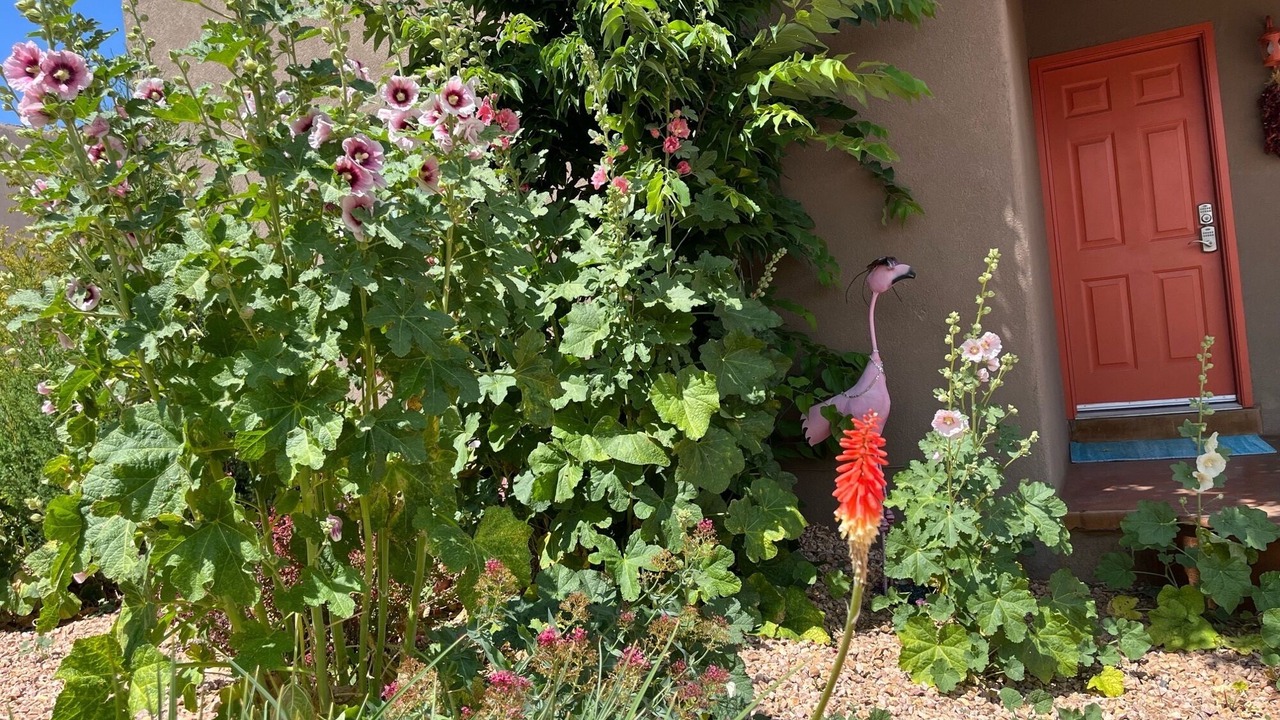 Photo of Outdoor in Nob Hill
