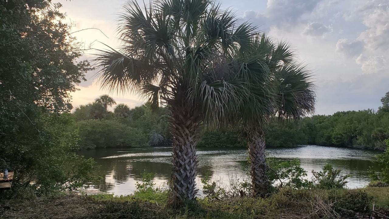 Photo of Outdoor in Merritt Island