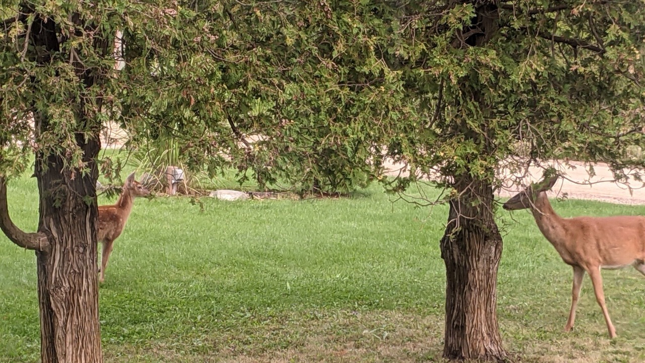 Photo of Others in Miami Park
