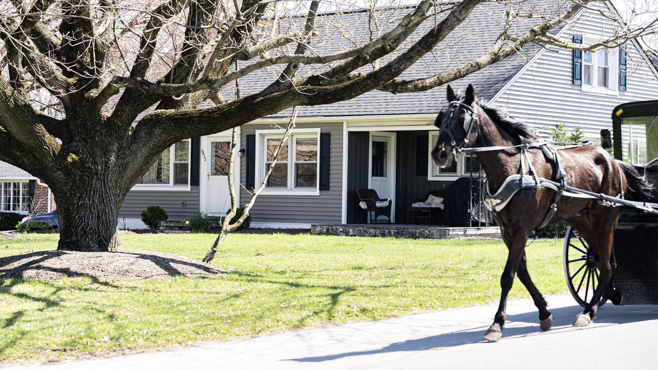 Photo of Outdoor in Intercourse