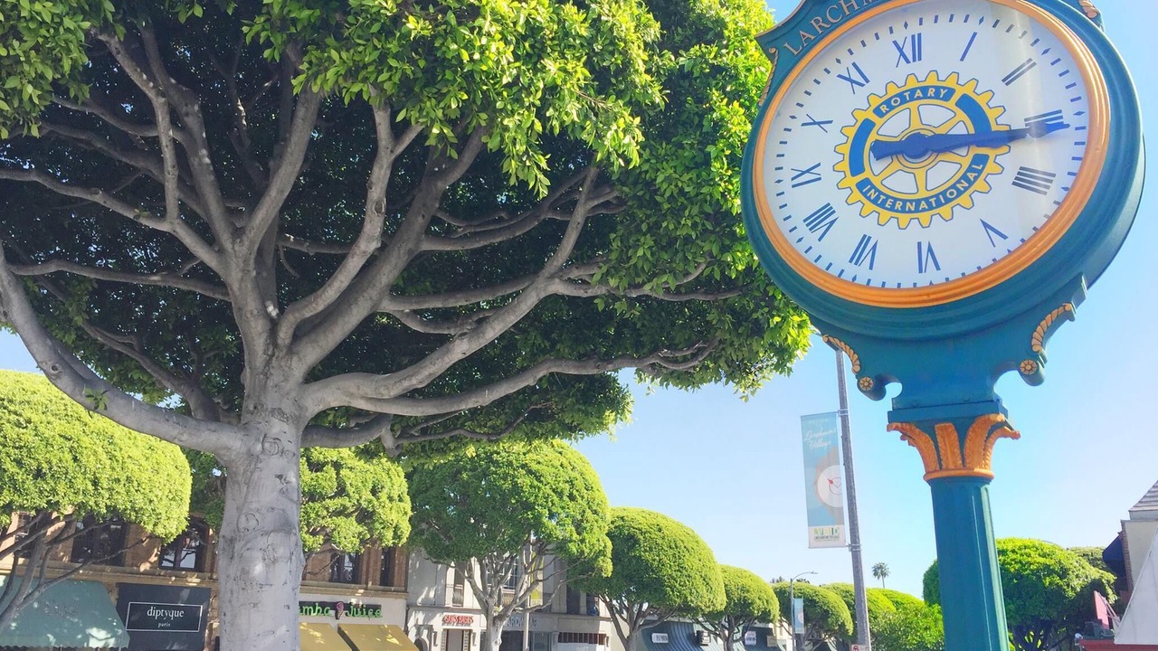 Photo of Others in Larchmont