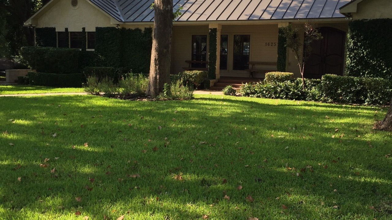 Photo of Outdoor in McQueeney