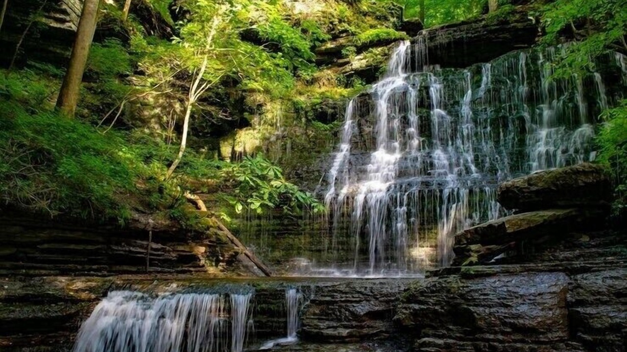 Photo of Outdoor in Dickel