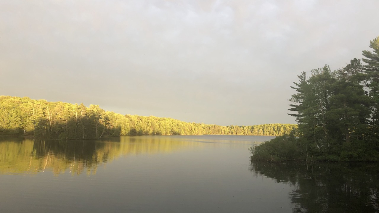 Photo of Others in Star Lake