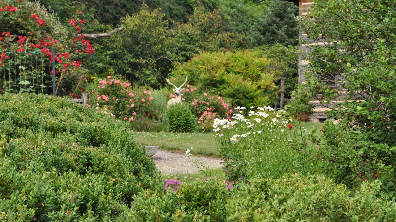 Photo of Outdoor in Weaverville