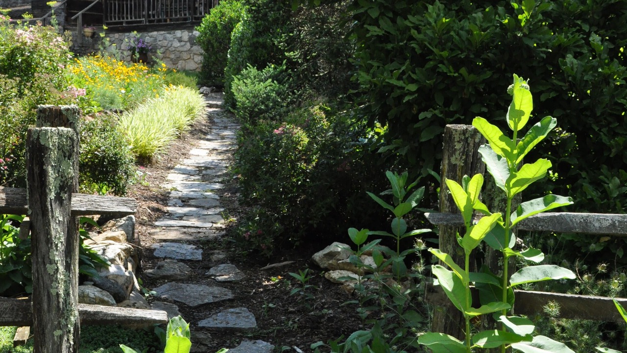 Photo of Outdoor in Weaverville