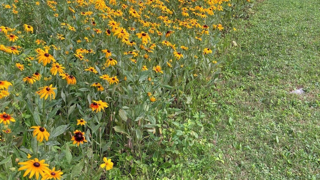 Photo of Outdoor in Lupton City
