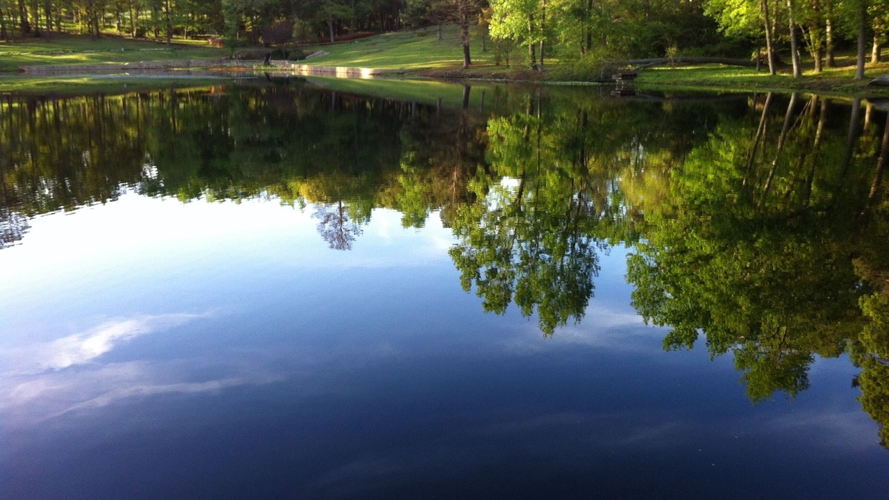 Photo of Outdoor in Mineola