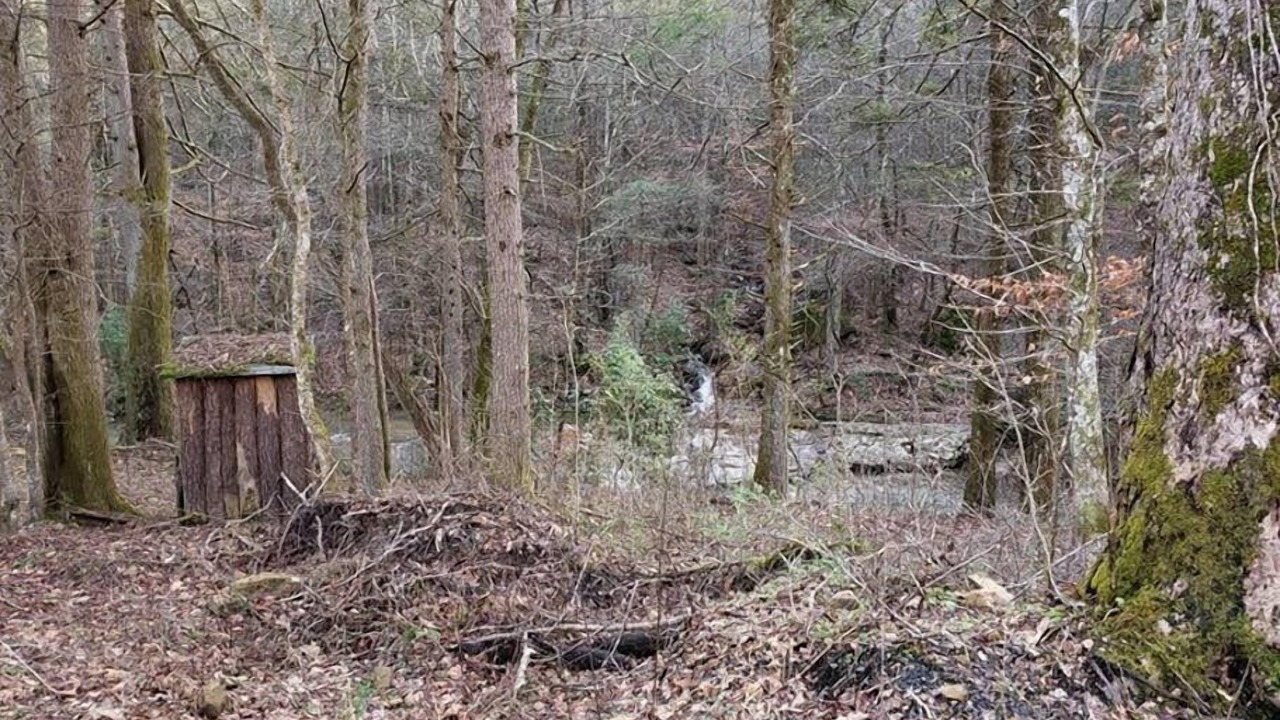 Photo of Others in Elgin