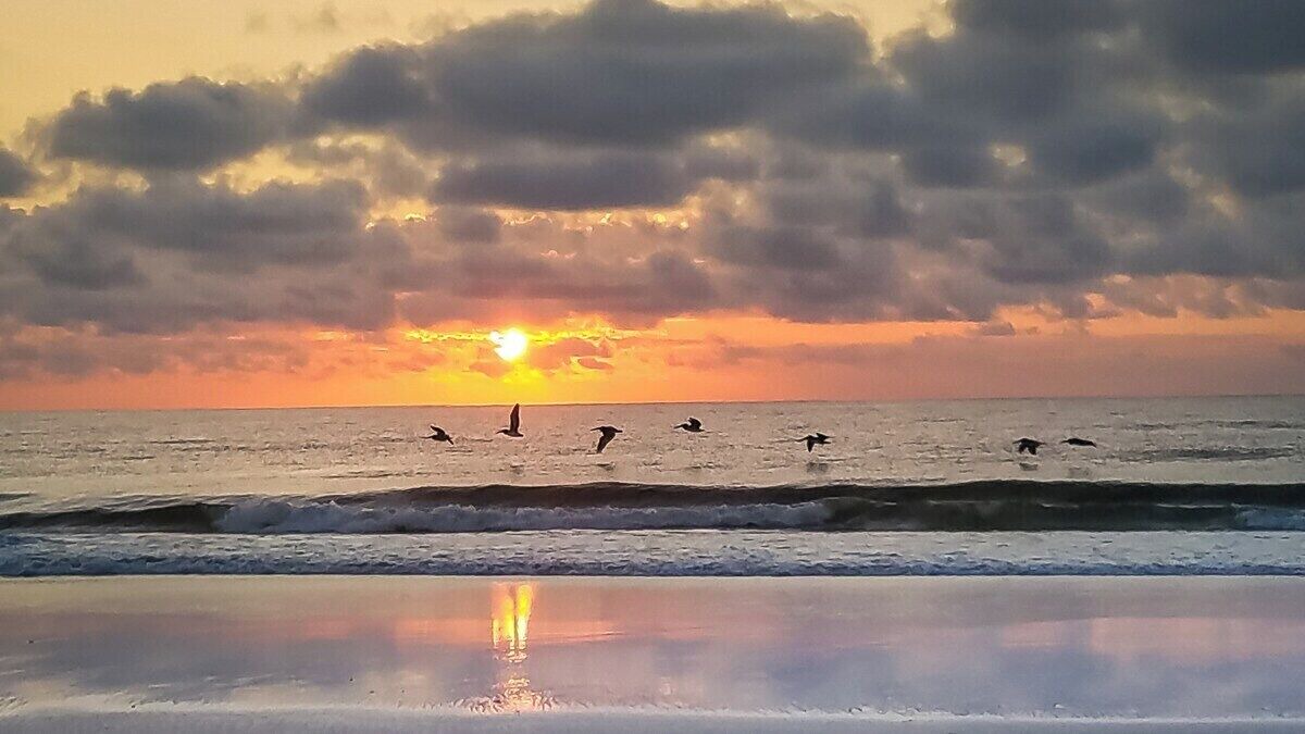 Photo of Others in Fernandina Beach