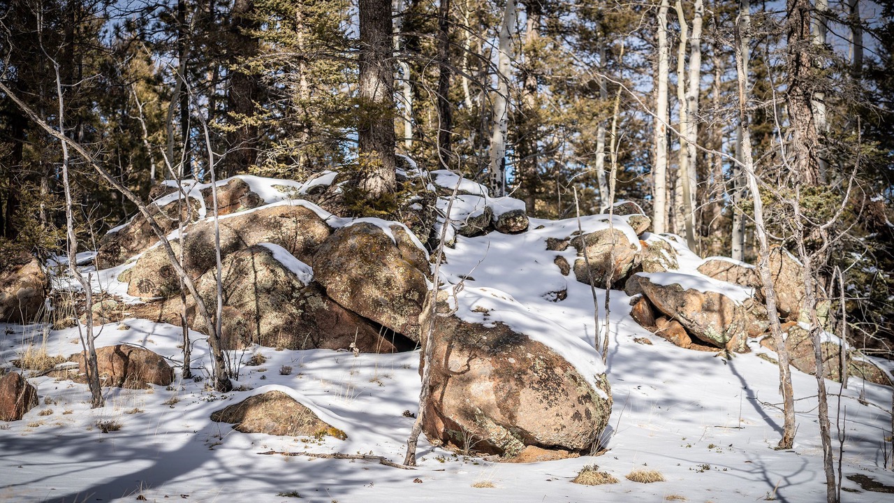 Photo of Outdoor in Divide