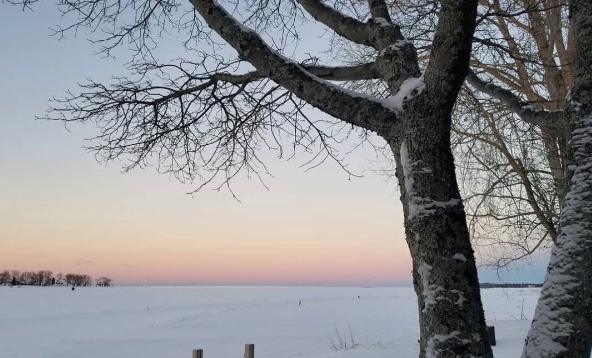 Photo of Others in Grand Marais