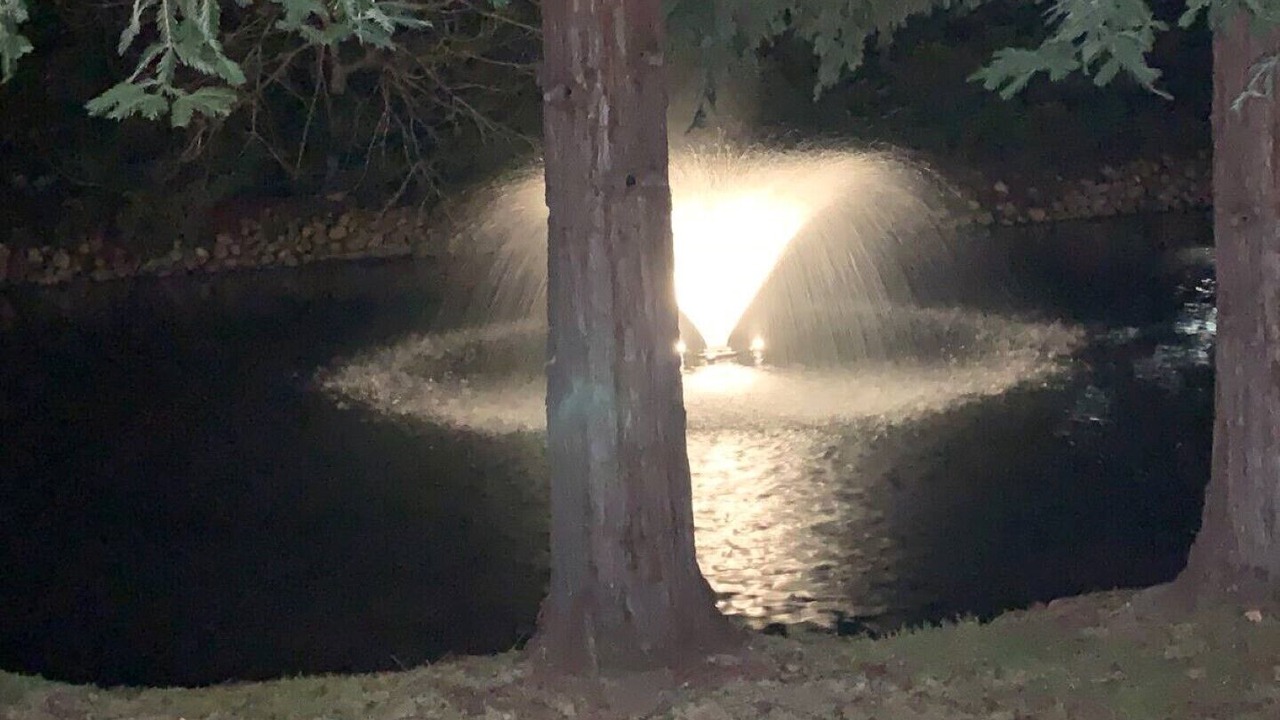 Photo of Outdoor in Loomis