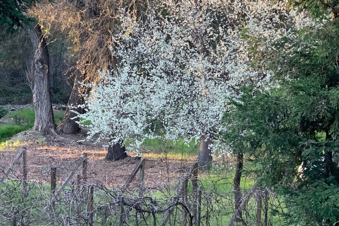 Photo of Outdoor in Loomis
