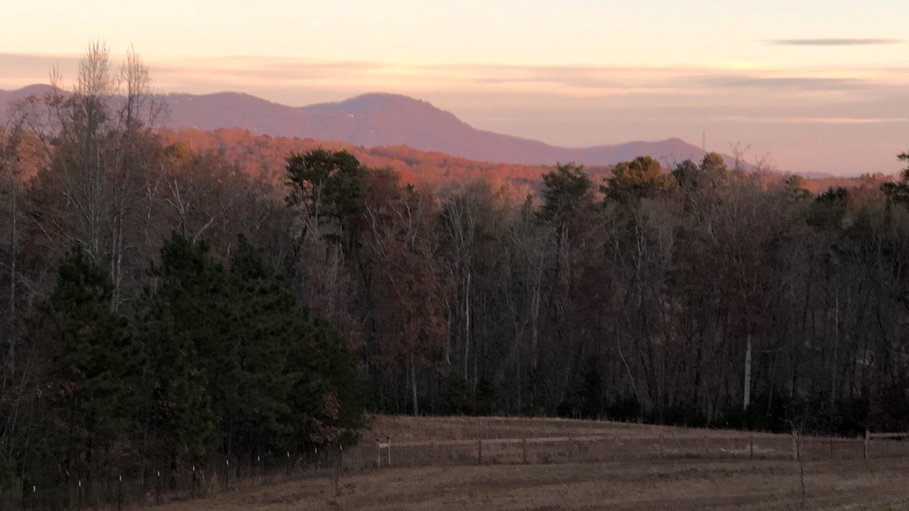 Photo of Others in Landrum