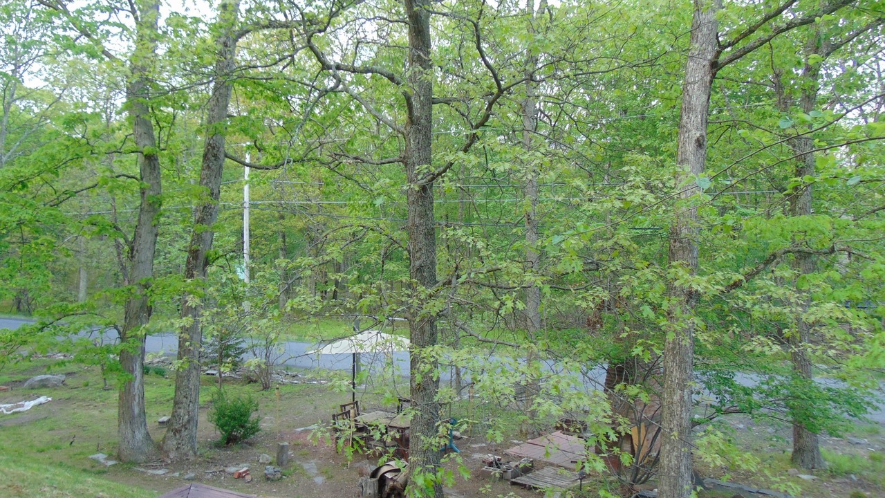 Photo of Outdoor in Bushkill