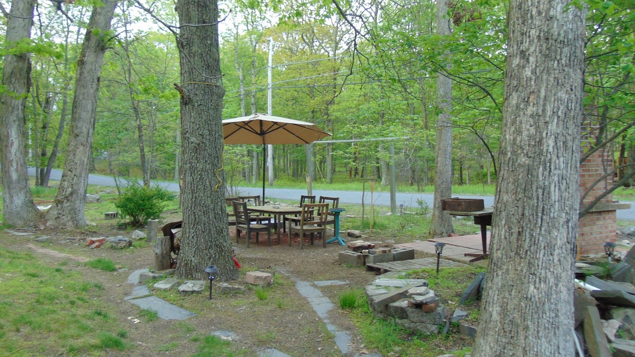 Photo of Outdoor in Bushkill