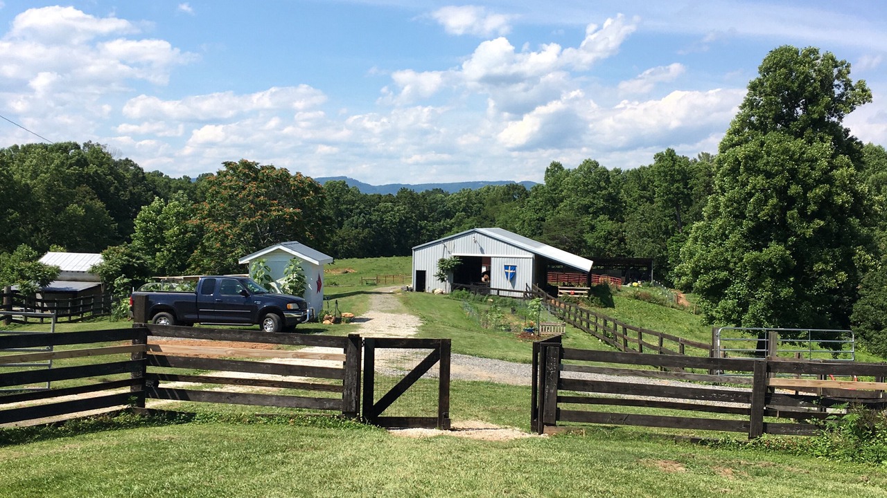 Photo of Outdoor in Mount Airy