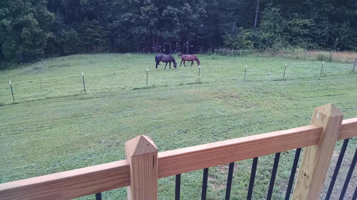 Photo of Outdoor in Mount Airy