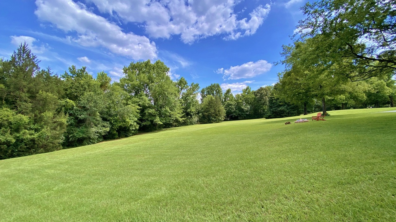 Photo of Others in Tyler