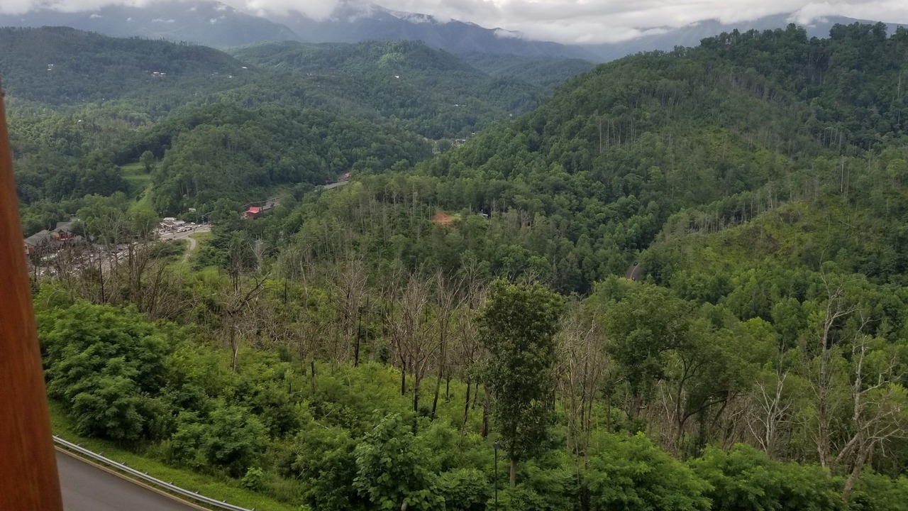Photo of Others in Gatlinburg