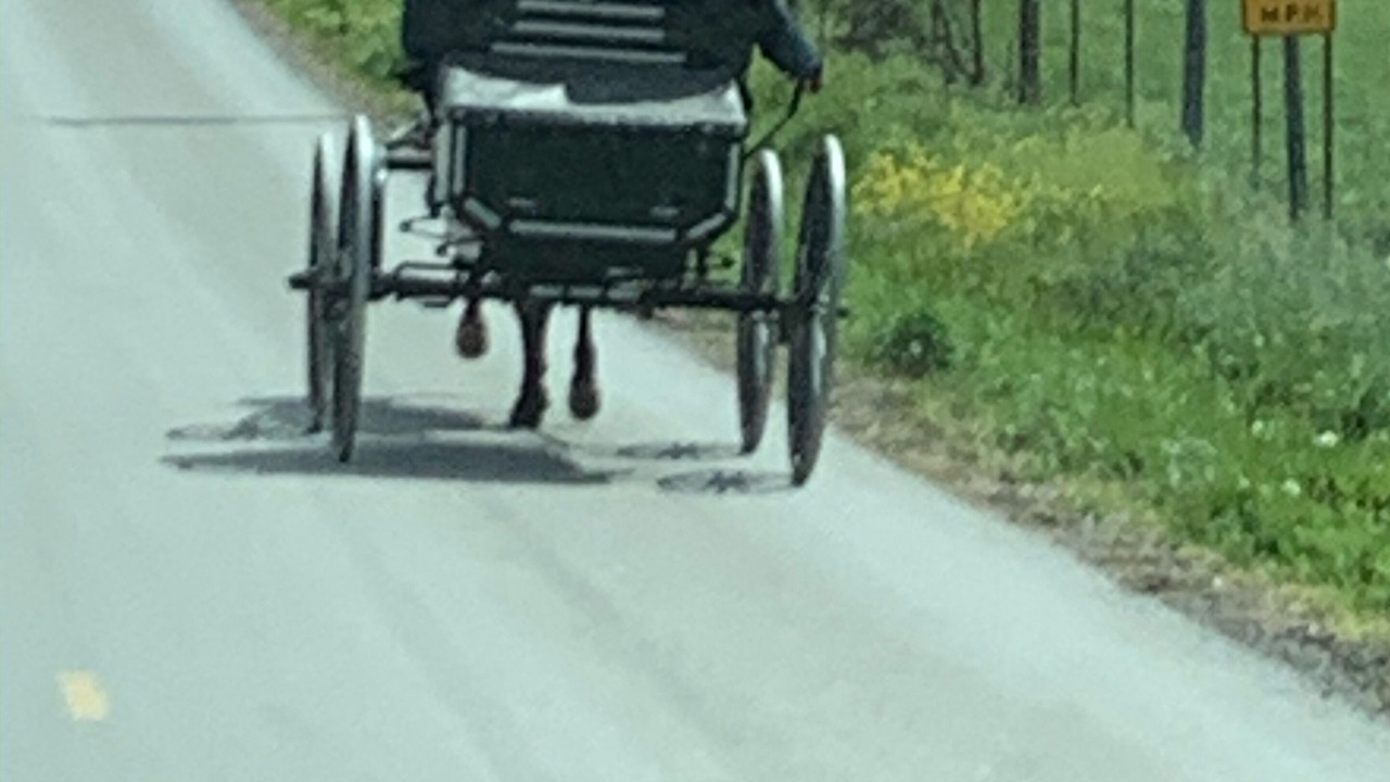 Photo of Others in Hillsboro