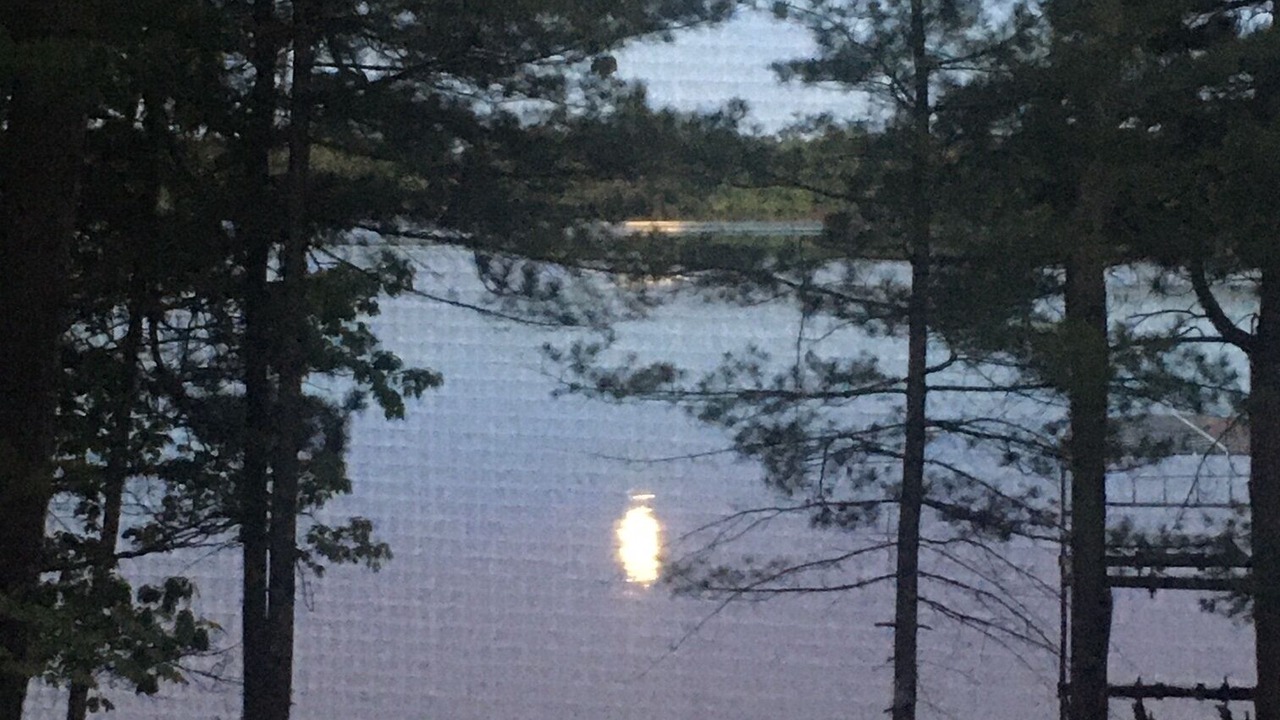 Photo of Others in Eagle River